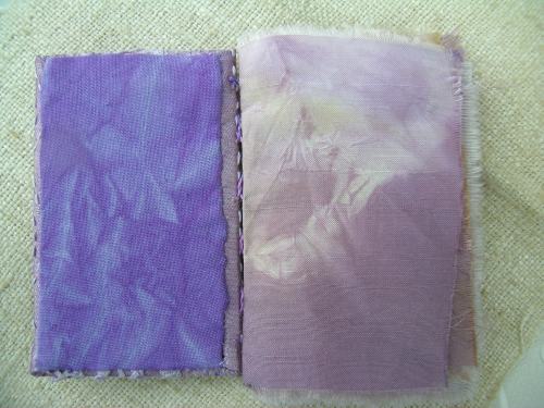 Finished red cabbage journal 5